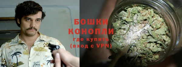 PSILOCYBIN Аркадак