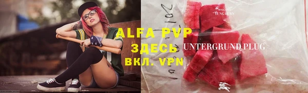 ПСИЛОЦИБИНОВЫЕ ГРИБЫ Арсеньев