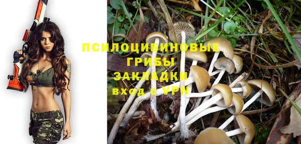 ПСИЛОЦИБИНОВЫЕ ГРИБЫ Арсеньев