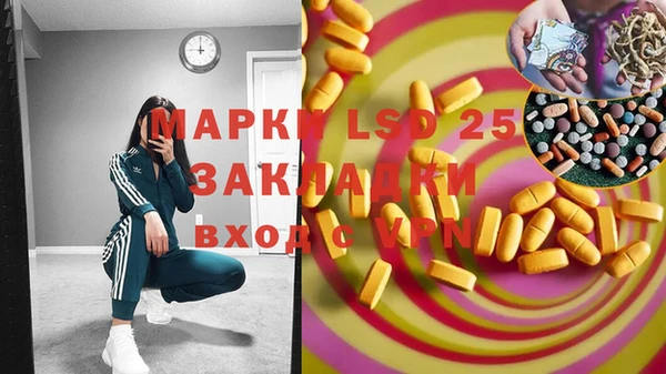 ПСИЛОЦИБИНОВЫЕ ГРИБЫ Арсеньев