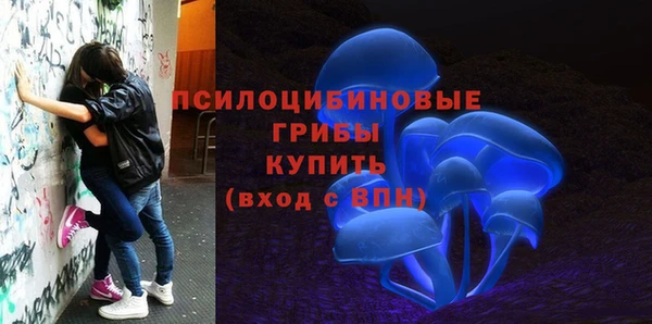 PSILOCYBIN Аркадак