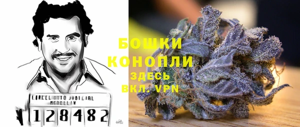ПСИЛОЦИБИНОВЫЕ ГРИБЫ Арсеньев