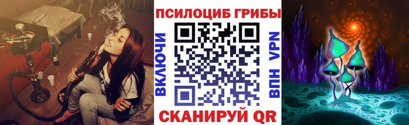 Псилоцибиновые грибы Psilocybine cubensis  Чапаевск 